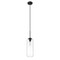 Z-Lite Monty 1 Light Pendant, Matte Black And Seedy 738P22-MB - alternate 6